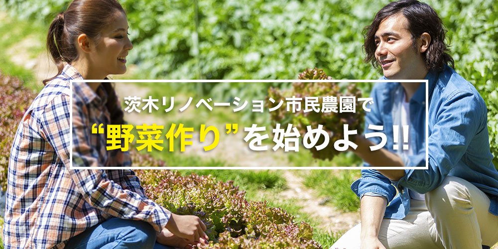 茨木リノベーション市民農園で、野菜作りを始めよう！！