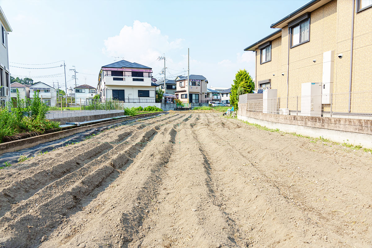 農園の特徴