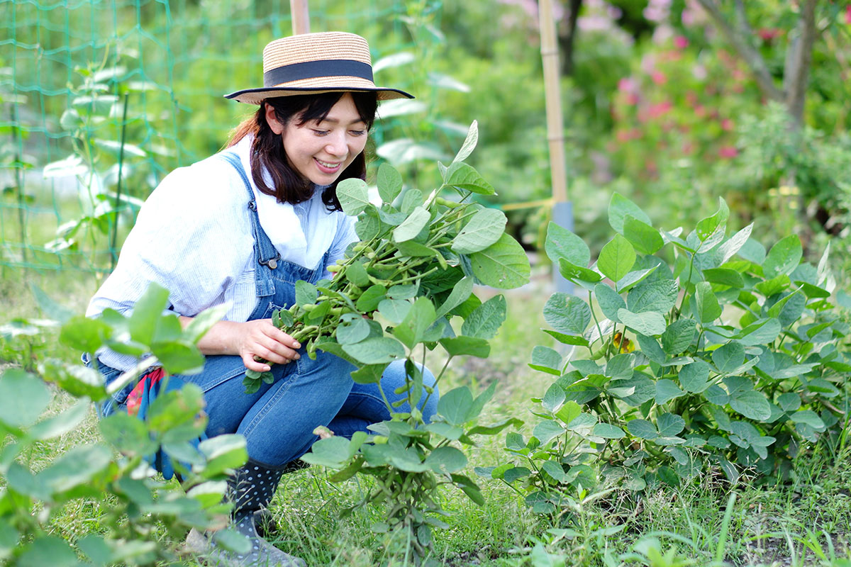 野菜作りスタート!!